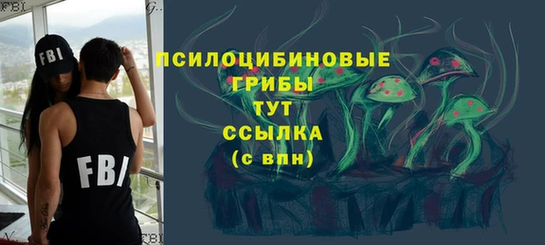 соль ск Алексеевка