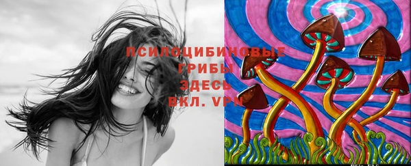 соль курить ск Алексин