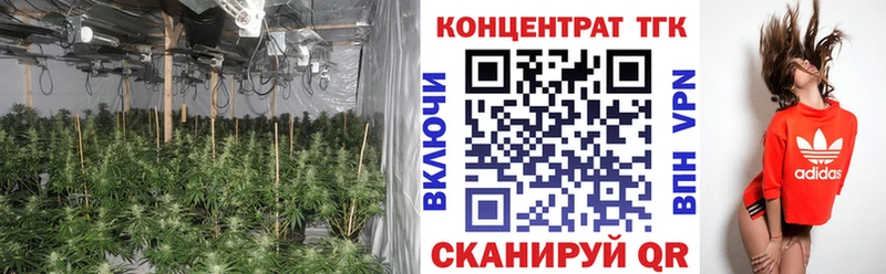 ссылка на мегу ссылка  Кирсанов  ТГК THC oil 