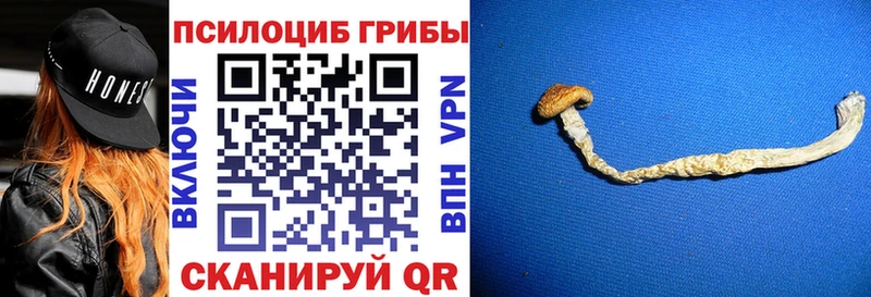 это как зайти  Кирсанов  Псилоцибиновые грибы мухоморы  ОМГ ОМГ вход 